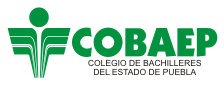 COBAEP PLANTEL 3